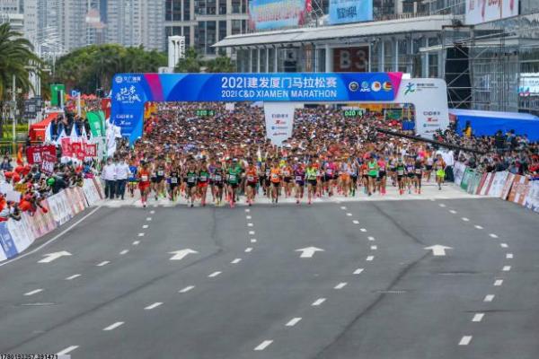 体育培训评估公司综合评价分析